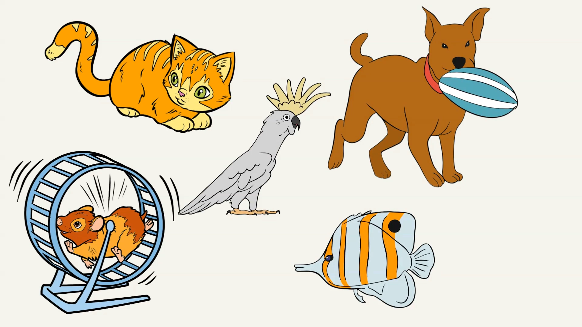 Animals